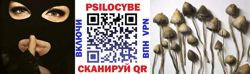 Псилоцибиновые грибы Psilocybine cubensis  Жуковка 